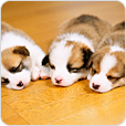 floorHeating0201