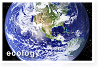 ecology